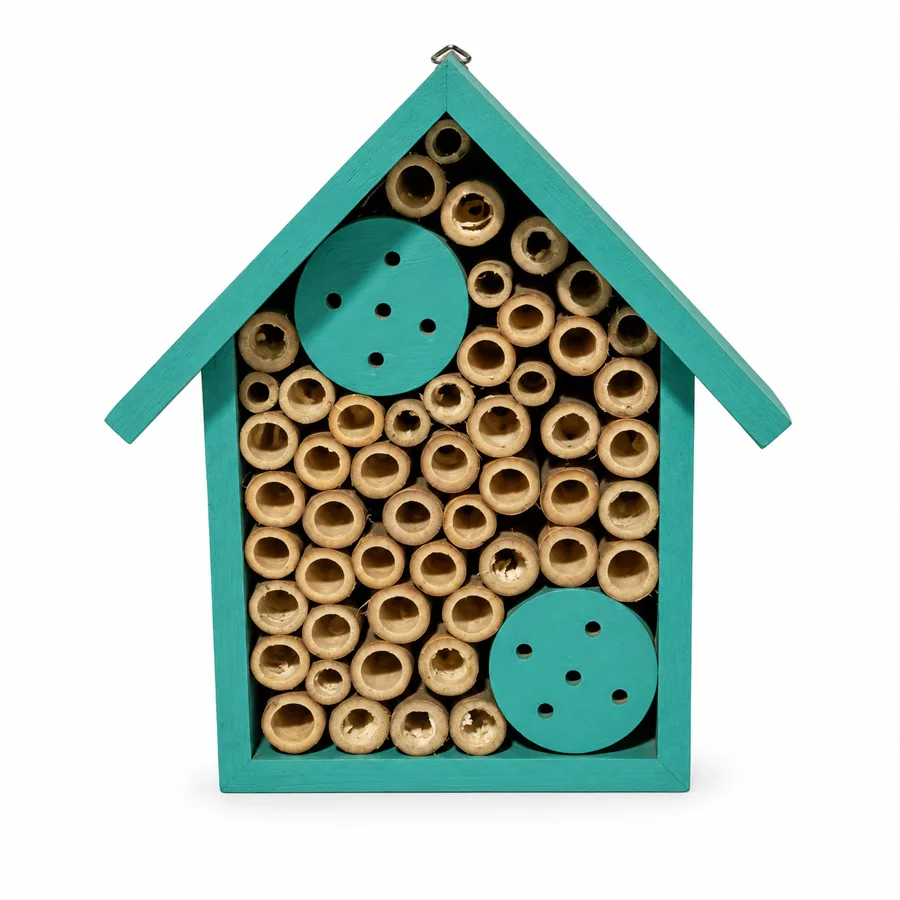 Buzzhaven — varied tubes in a teal pine house