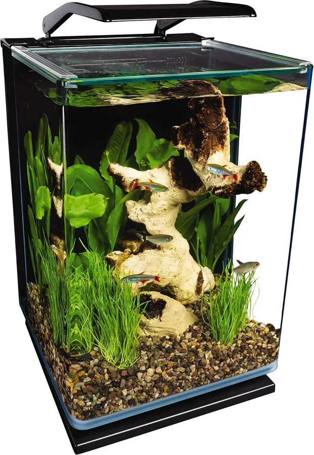 MarineLand Betta Fish Tank — roomy glass display with hidden filter