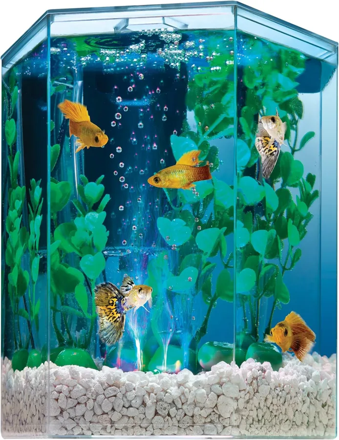 Tetra Betta Fish Tank — color-cycling hexagon showpiece for tight spots