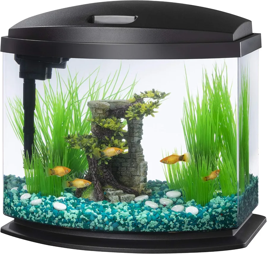 Aqueon Betta Fish Tank — starter kit with quick water changes
