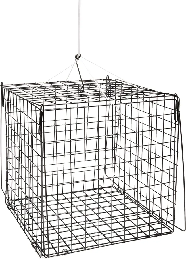 SOUTH BEND Hurricane F210 — compact trap for tight spaces