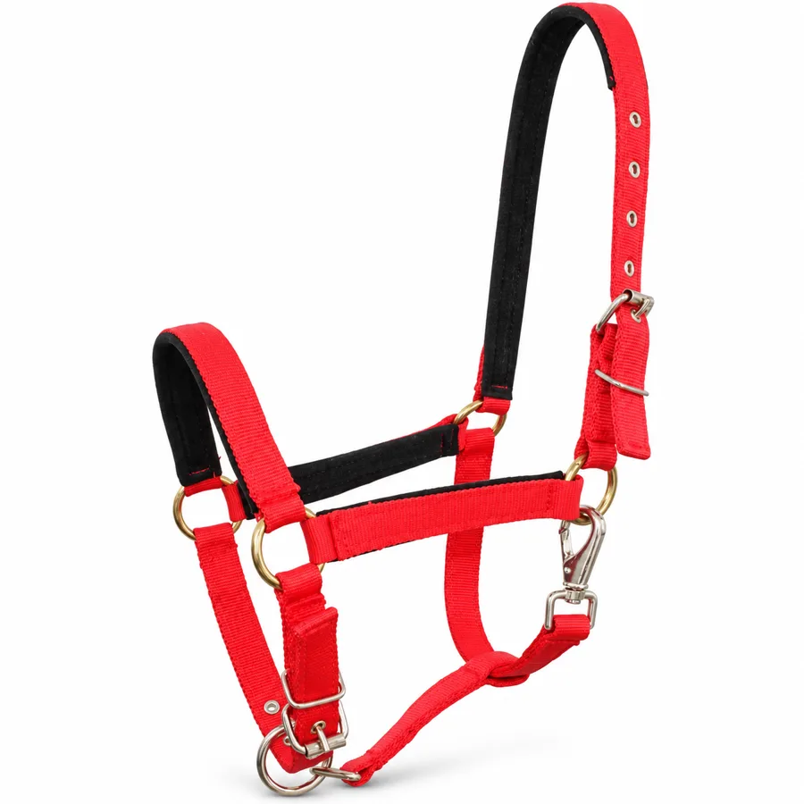 SoftReign — padded halter with soft liner on crown and noseband