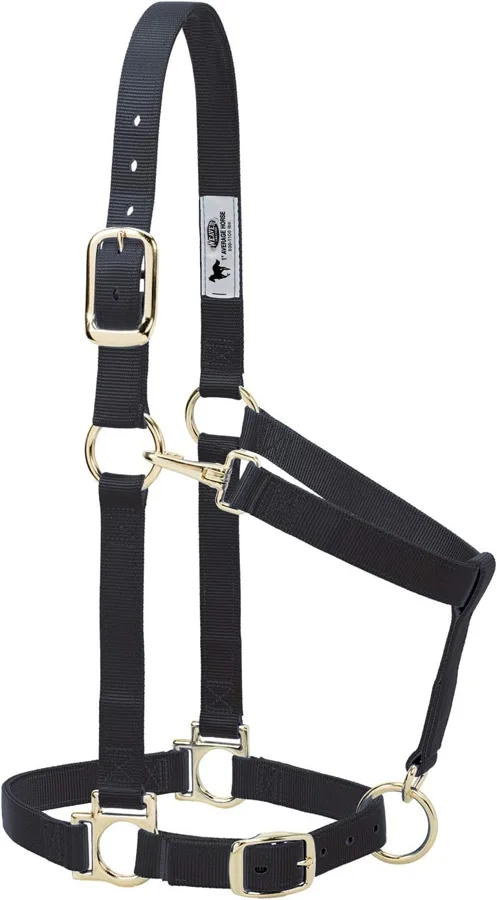 Weaver Equine padded nylon halter — foam liner on nose and crown