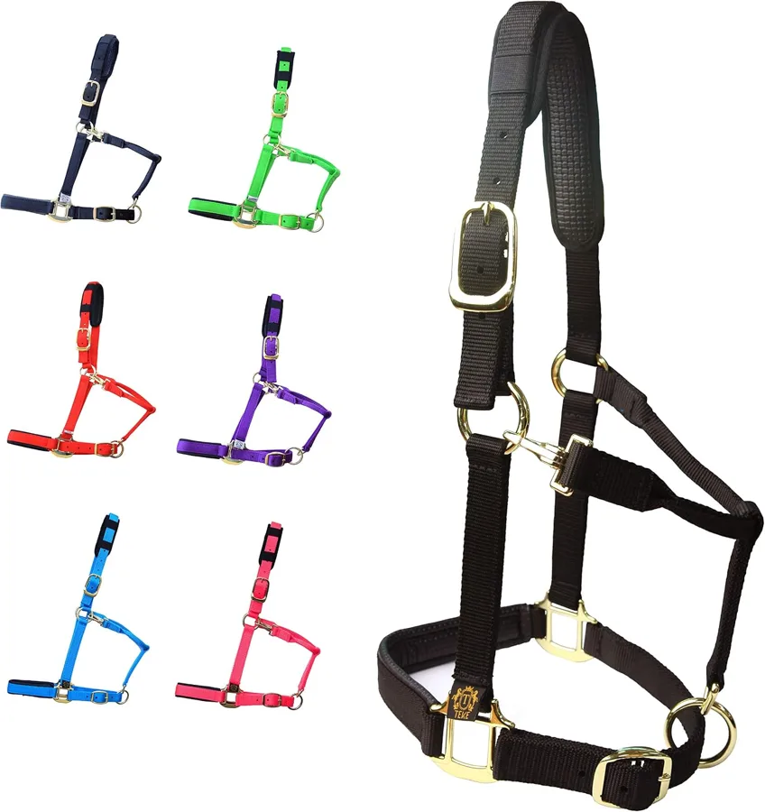 T TEKE padded horse halter — neoprene on crown and nose