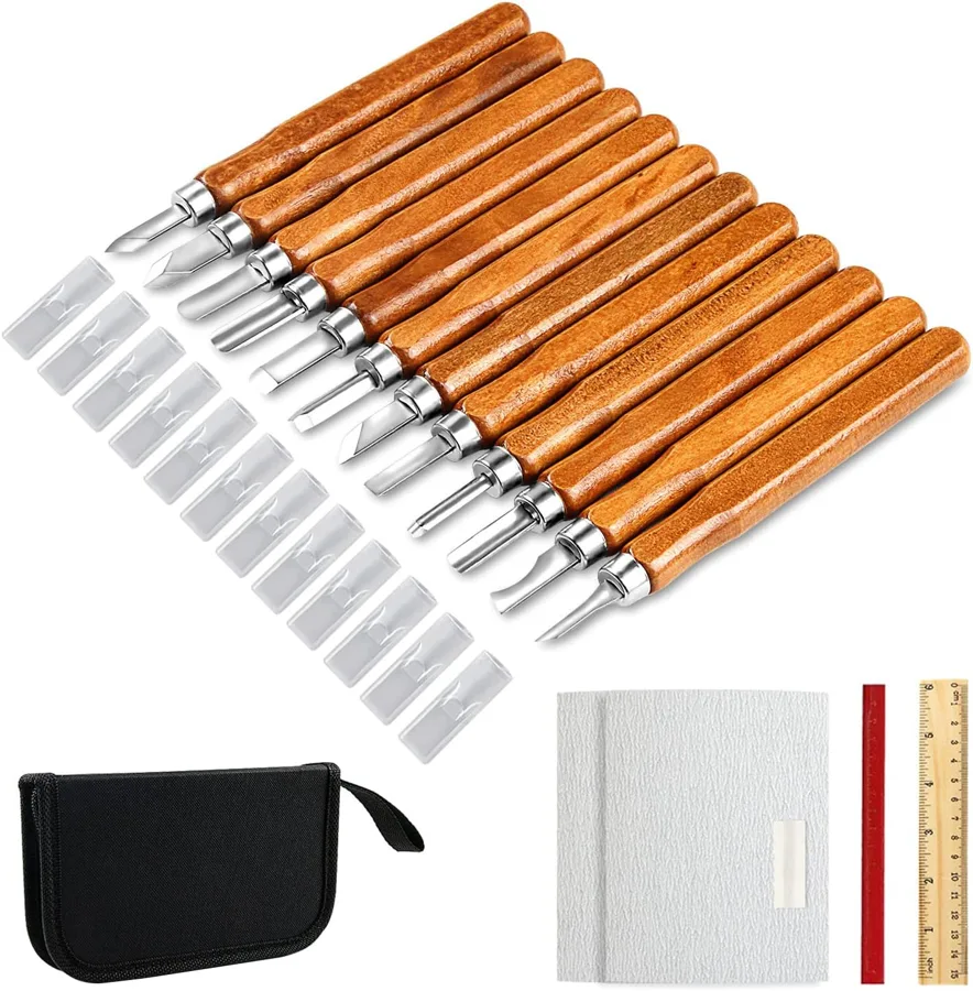 AUGSUN 20 piece carving kit — twelve gouge shapes in a zippered case